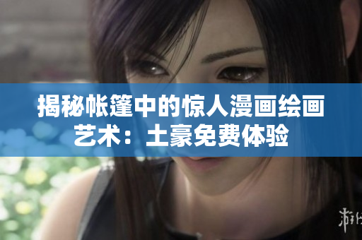 揭秘帐篷中的惊人漫画绘画艺术：土豪免费体验