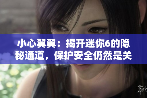 小心翼翼：揭开迷你6的隐秘通道，保护安全仍然是关键