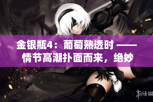 金银瓶4：葡萄熟透时 —— 情节高潮扑面而来，绝妙故事继续精彩演绎。