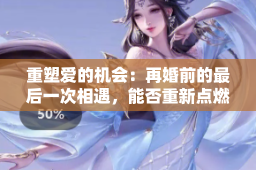 重塑爱的机会：再婚前的最后一次相遇，能否重新点燃爱的火焰？