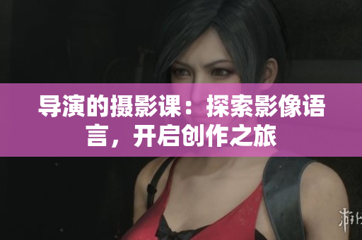 导演的摄影课：探索影像语言，开启创作之旅