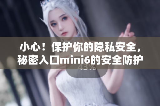 小心！保护你的隐私安全，秘密入口mini6的安全防护全解析