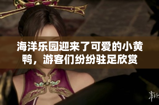 海洋乐园迎来了可爱的小黄鸭，游客们纷纷驻足欣赏