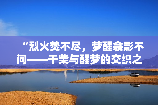 “烈火焚不尽，梦醒衾影不问——干柴与醒梦的交织之美”