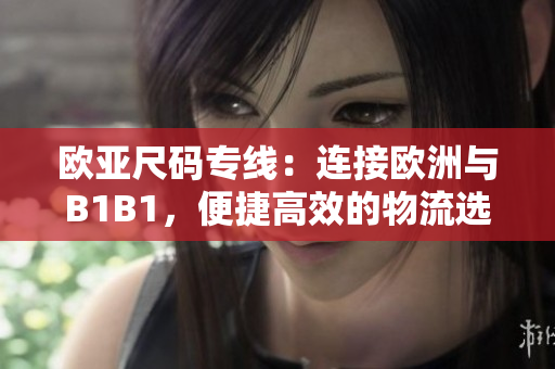 欧亚尺码专线：连接欧洲与B1B1，便捷高效的物流选择