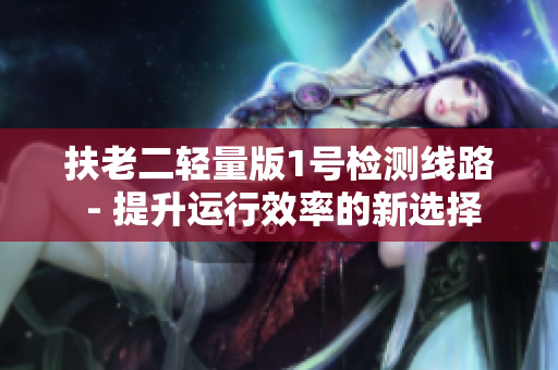 扶老二轻量版1号检测线路 - 提升运行效率的新选择