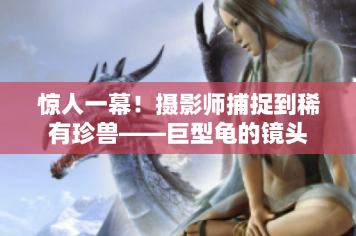 惊人一幕！摄影师捕捉到稀有珍兽——巨型龟的镜头