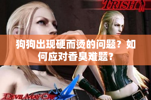 狗狗出现硬而烫的问题？如何应对香臭难题？