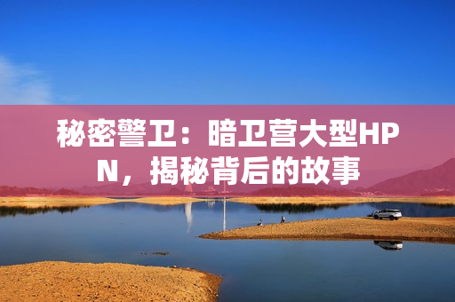 秘密警卫：暗卫营大型HPN，揭秘背后的故事