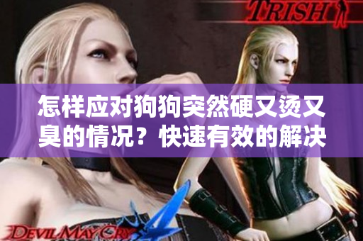 怎样应对狗狗突然硬又烫又臭的情况？快速有效的解决方法分享