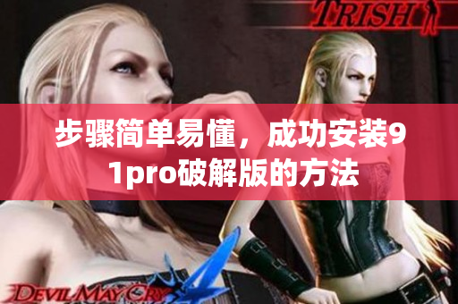 步骤简单易懂，成功安装9 1pro破解版的方法