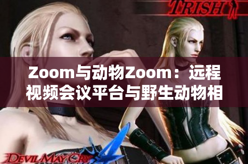 Zoom与动物Zoom：远程视频会议平台与野生动物相遇的奇妙之旅