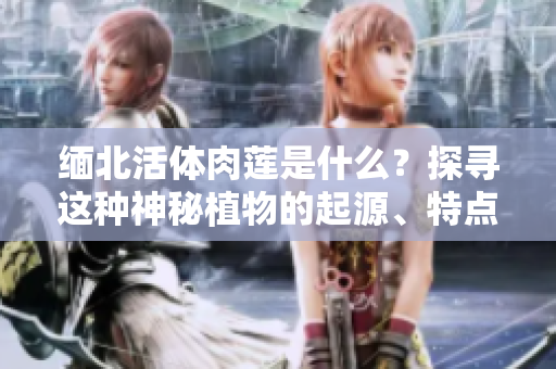 缅北活体肉莲是什么？探寻这种神秘植物的起源、特点与用途