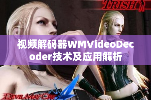 视频解码器WMVideoDecoder技术及应用解析