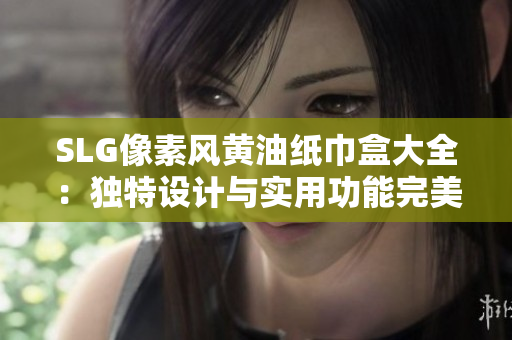 SLG像素风黄油纸巾盒大全：独特设计与实用功能完美结合