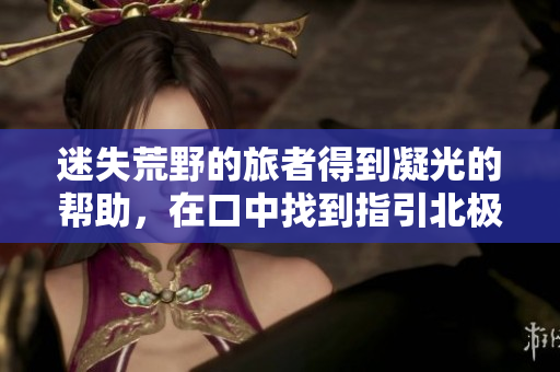 迷失荒野的旅者得到凝光的帮助，在口中找到指引北极星 寻找回家的旅者