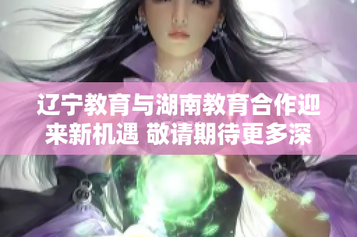 辽宁教育与湖南教育合作迎来新机遇 敬请期待更多深度合作和交流