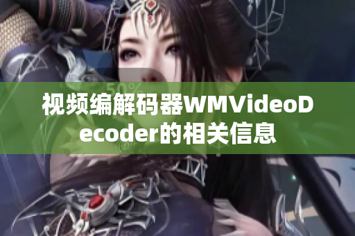 视频编解码器WMVideoDecoder的相关信息