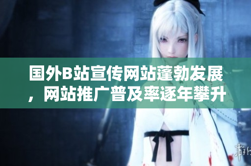 国外B站宣传网站蓬勃发展，网站推广普及率逐年攀升