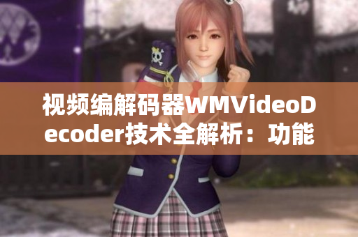 视频编解码器WMVideoDecoder技术全解析：功能、应用及未来发展