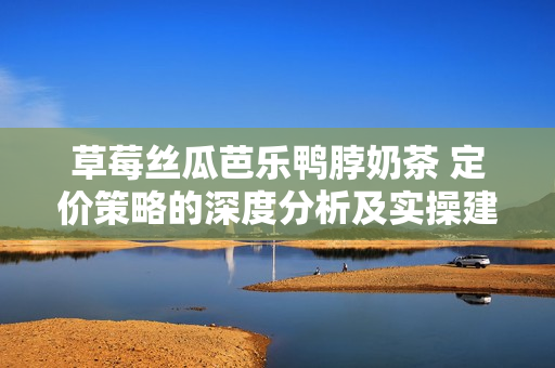草莓丝瓜芭乐鸭脖奶茶 定价策略的深度分析及实操建议