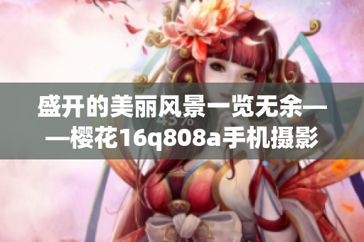 盛开的美丽风景一览无余——樱花16q808a手机摄影分享