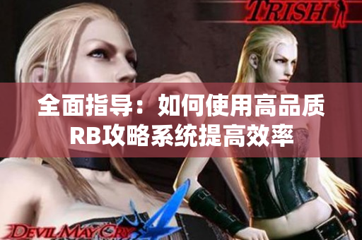 全面指导：如何使用高品质RB攻略系统提高效率