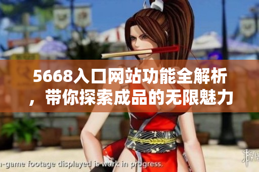 5668入口网站功能全解析，带你探索成品的无限魅力