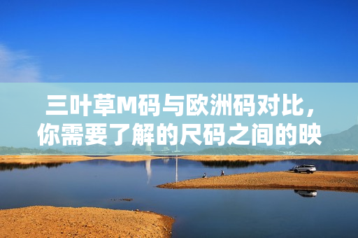 三叶草M码与欧洲码对比，你需要了解的尺码之间的映射