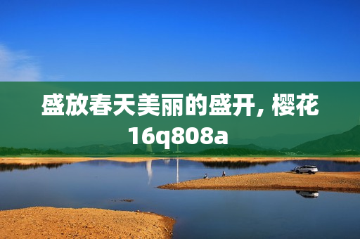 盛放春天美丽的盛开, 樱花16q808a 