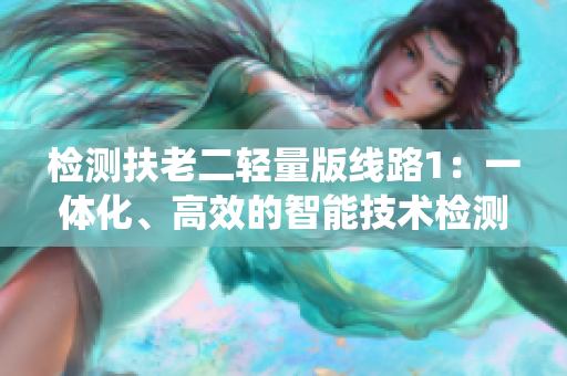 检测扶老二轻量版线路1：一体化、高效的智能技术检测系统