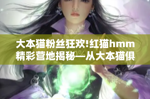 大本猫粉丝狂欢!红猫hmm精彩营地揭秘—从大本猫俱乐部探寻猫咪乐园