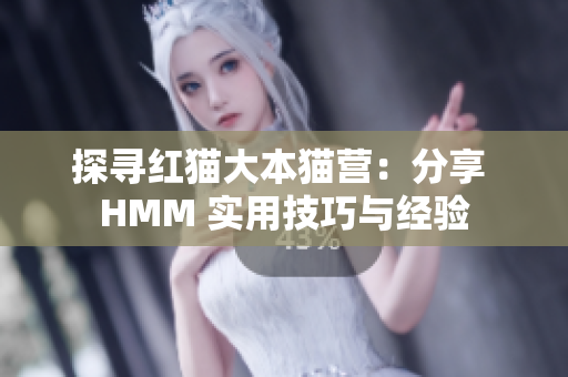 探寻红猫大本猫营：分享 HMM 实用技巧与经验