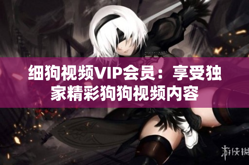 细狗视频VIP会员：享受独家精彩狗狗视频内容