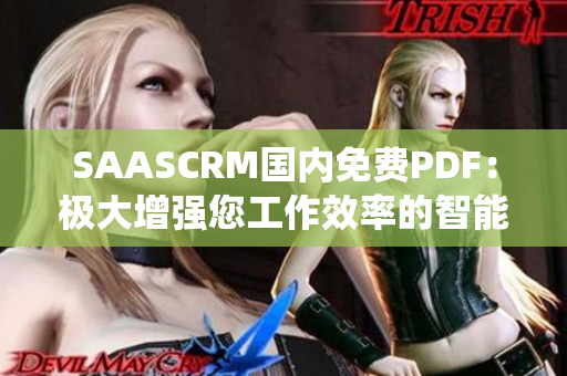 SAASCRM国内免费PDF：极大增强您工作效率的智能化客户管理系统