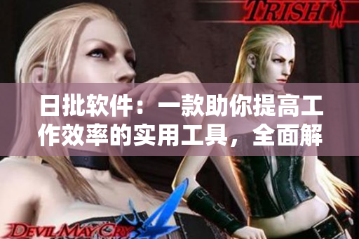 日批软件：一款助你提高工作效率的实用工具，全面解读其特点、功能与使用技巧