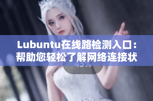 Lubuntu在线路检测入口：帮助您轻松了解网络连接状态