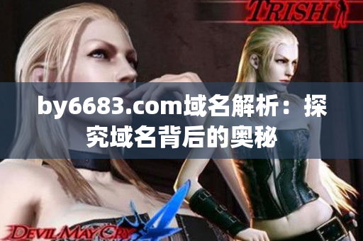 by6683.com域名解析：探究域名背后的奥秘