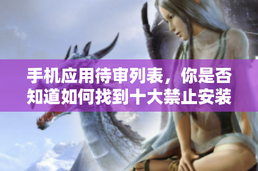 手机应用待审列表，你是否知道如何找到十大禁止安装应用入口？