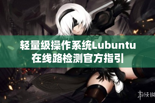 轻量级操作系统Lubuntu在线路检测官方指引