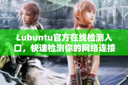 Lubuntu官方在线检测入口，快速检测你的网络连接质量