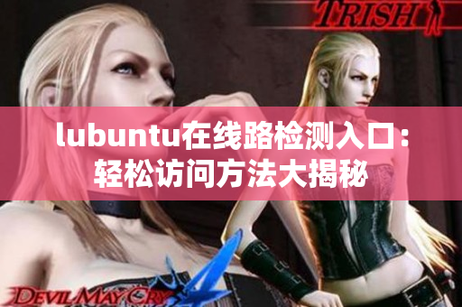 lubuntu在线路检测入口：轻松访问方法大揭秘