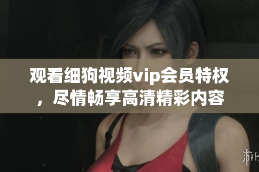 观看细狗视频vip会员特权，尽情畅享高清精彩内容