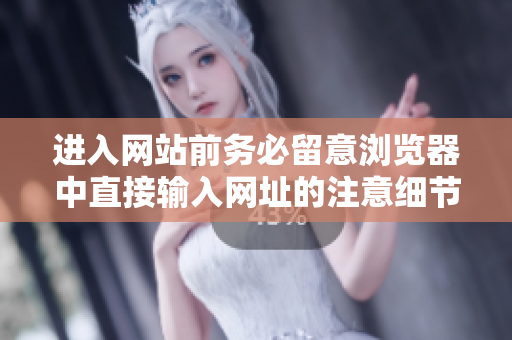 进入网站前务必留意浏览器中直接输入网址的注意细节