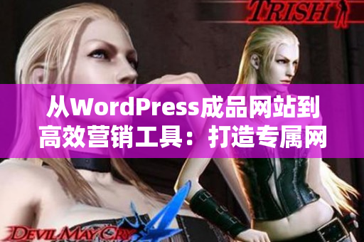 从WordPress成品网站到高效营销工具：打造专属网站的全面指南