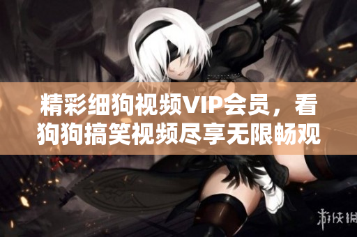 精彩细狗视频VIP会员，看狗狗搞笑视频尽享无限畅观