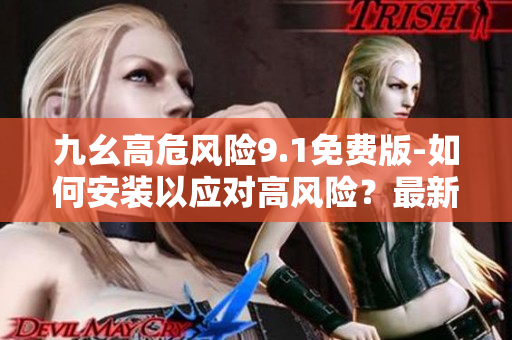 九幺高危风险9.1免费版-如何安装以应对高风险？最新安装指南分享