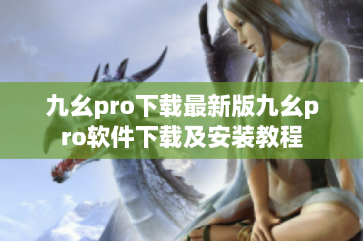 九幺pro下载最新版九幺pro软件下载及安装教程