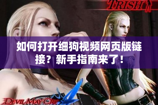 如何打开细狗视频网页版链接？新手指南来了！