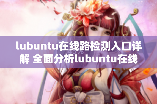 lubuntu在线路检测入口详解 全面分析lubuntu在线路检测入口及其功能特点